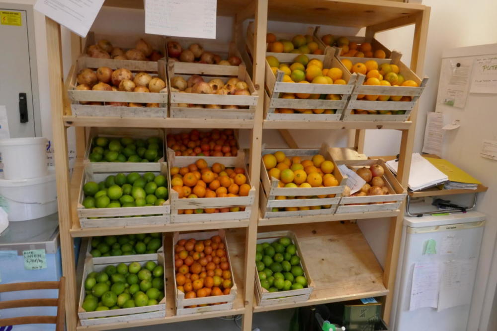 Citrusfrüchte in der BOKU Foodcoop